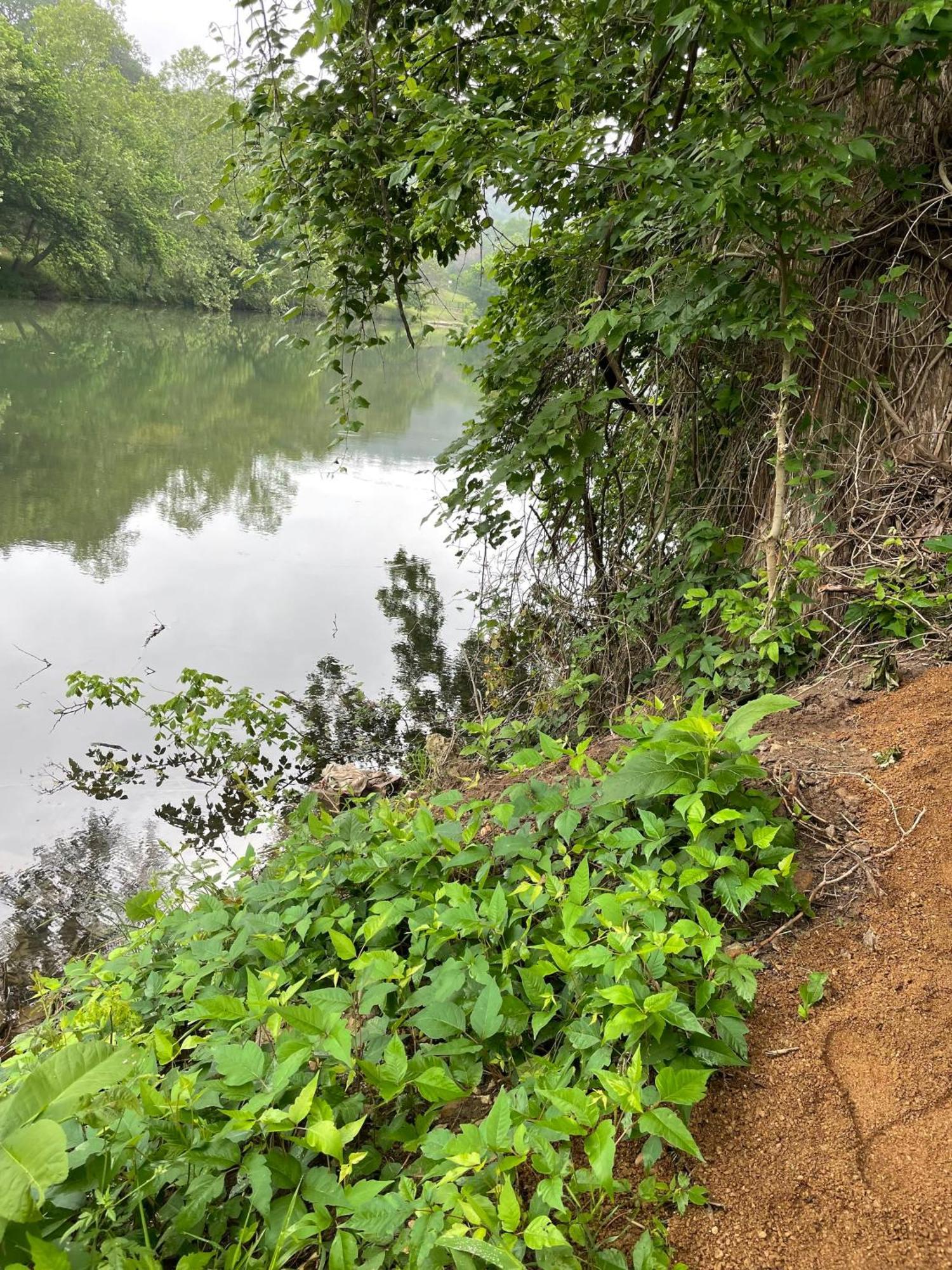 Rv Located On Private Property, Providing Access To The Guadalupe River, Accommodates Up To 5 Guests New Braunfels Eksteriør bilde